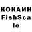 COCAIN FishScale budhi lawati