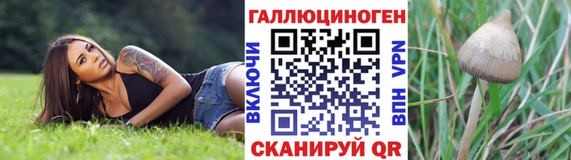 Галлюциногенные грибы мухоморы  Зубцов 
